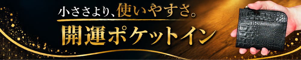 ポケットイン