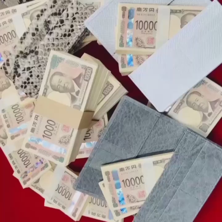 動画を読み込む: 