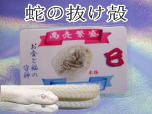 日本製】財布に入れると良い蛇の抜け殻[hebinuke]