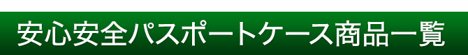 SSpX|[gP[Xiꗗ